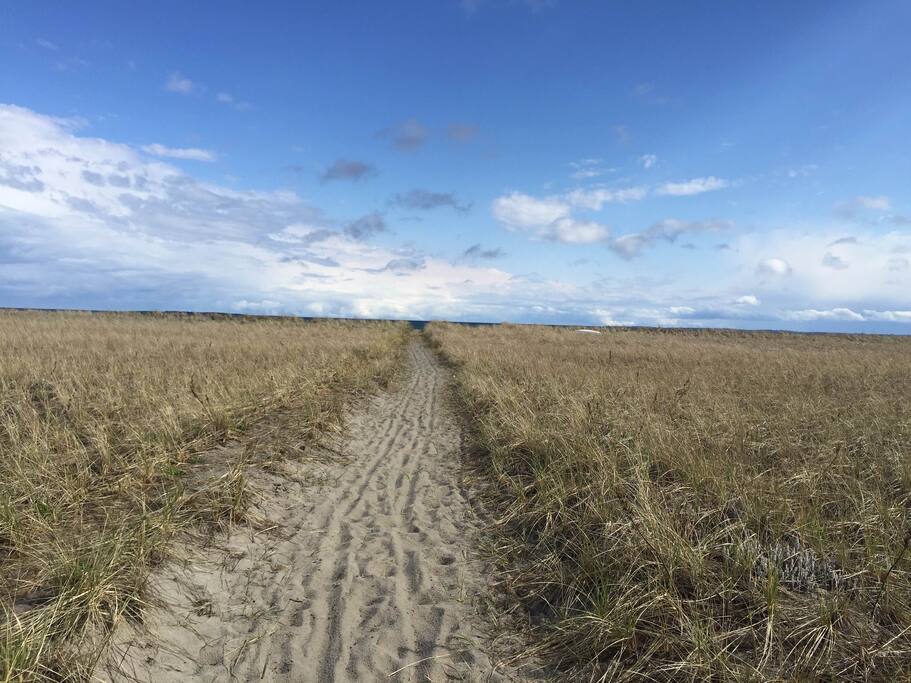Path to beach