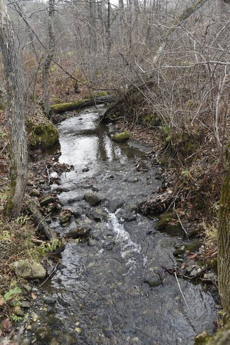 Honey Brook