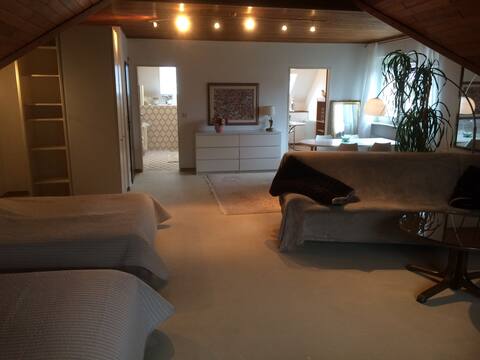 An elegant and special apartment!