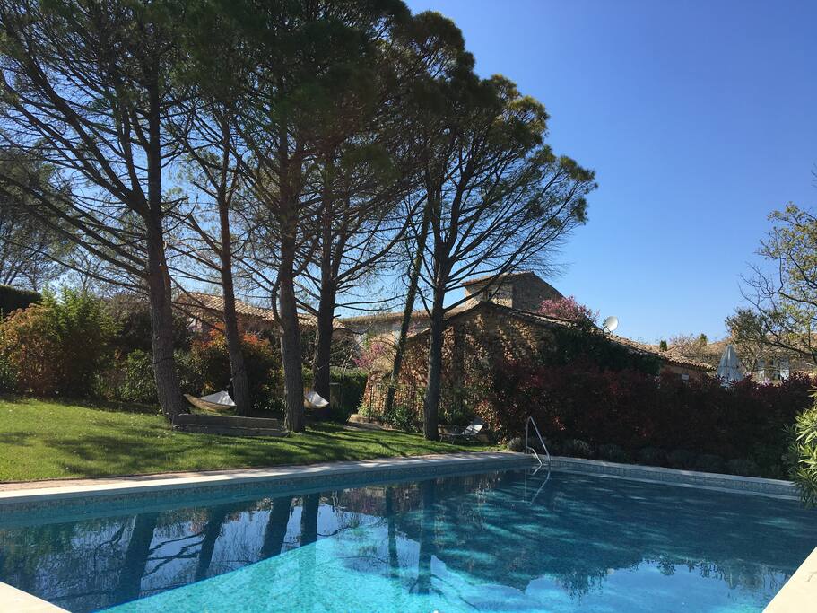Sa piscine sous les pins