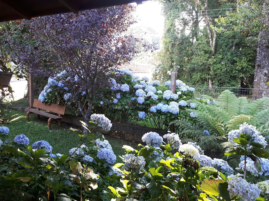 Vista do jardim