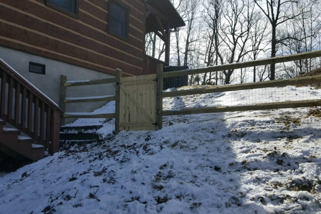Plenty of space for your dog to run