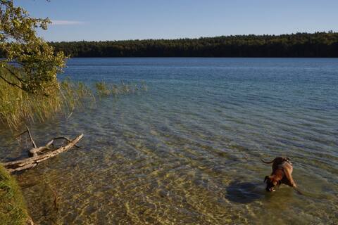 Vacation at Stechlinsee (Benny)