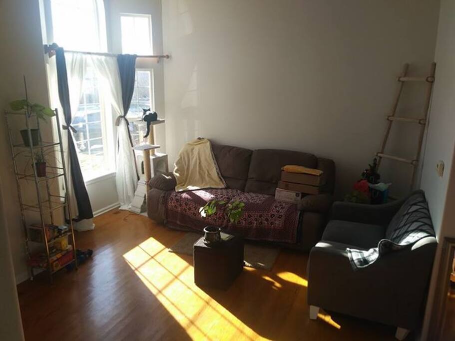 Front room / secondary living area