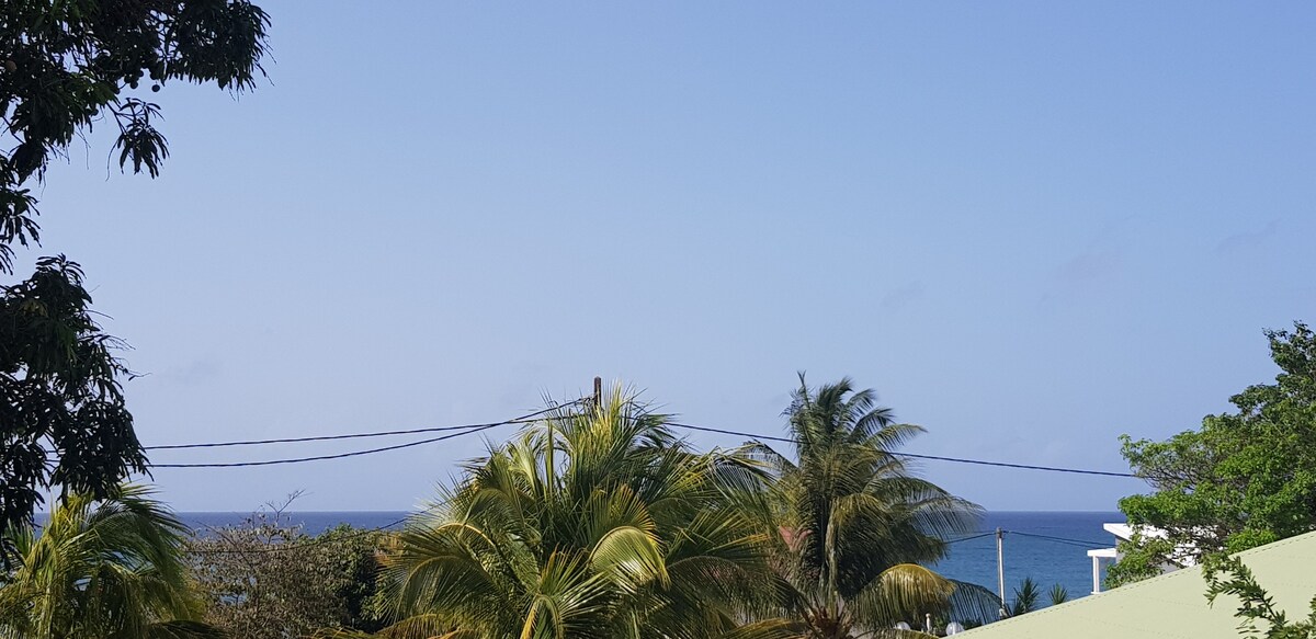 A serene coastal view is presented, featuring a clear blue sky and gentle ocean waves in the distance. Palm trees frame the scene, adding a touch of greenery. The horizon smoothly transitions from land to sea, creating a peaceful atmosphere.