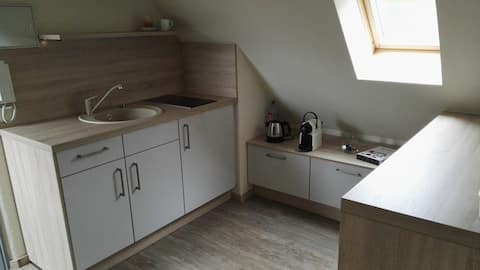 Top performing Airbnb: Small studio under the roof in Rostock