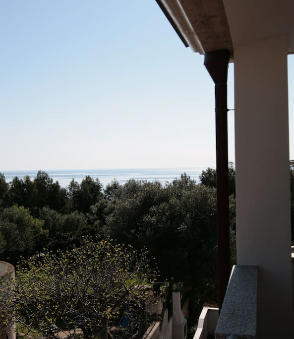 vista