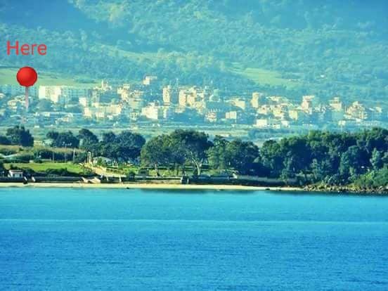 A calm seascape showcases a serene beach with soft waves gently lapping the shore. In the background, a modest town is nestled against a verdant hillside, with various structures visible among the greenery. The lush landscape creates an inviting atmosphere for relaxation.