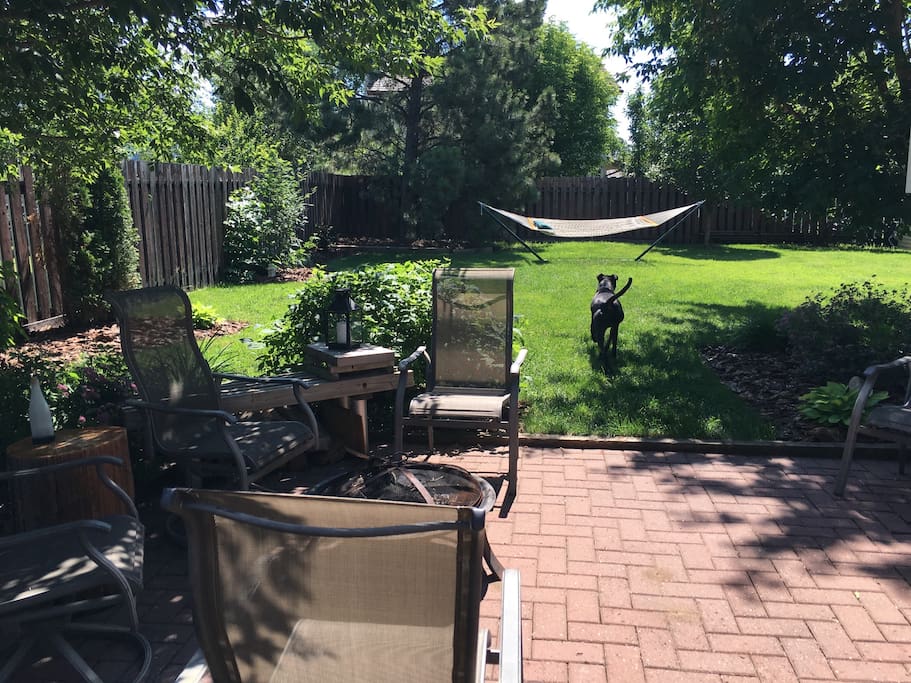 View of side yard from patio. The backyard is huge and we have bean bag games, frisbee, hammock, and outdoor bbq / dining area available for our guests.