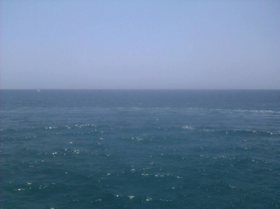 Photo of Ocean Avenue