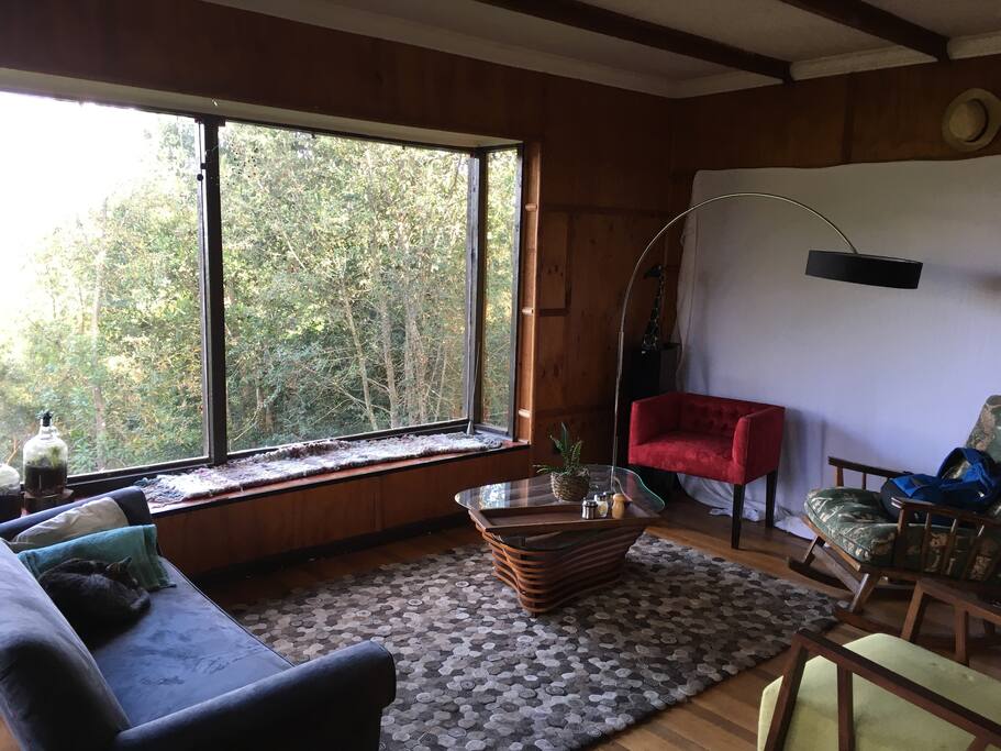 Another place to make more things like "independent cinema home club"