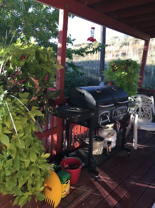 Our friendly front deck, welcome to Savage Point.
