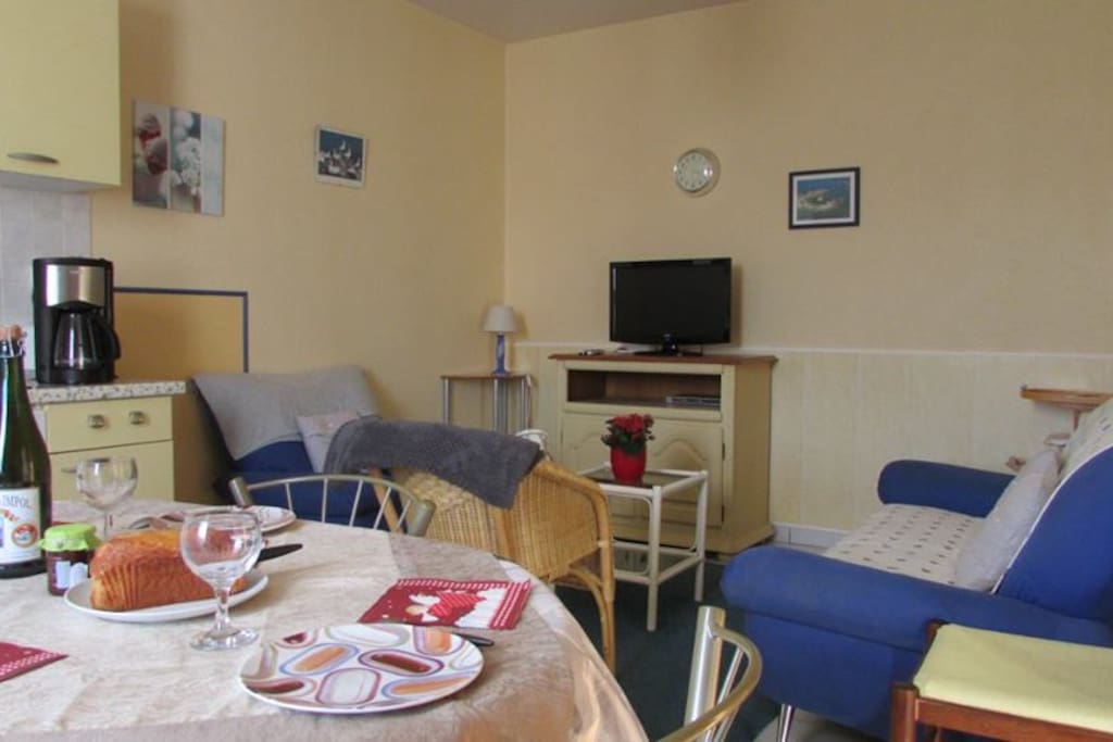 Salon-cuisine cosy