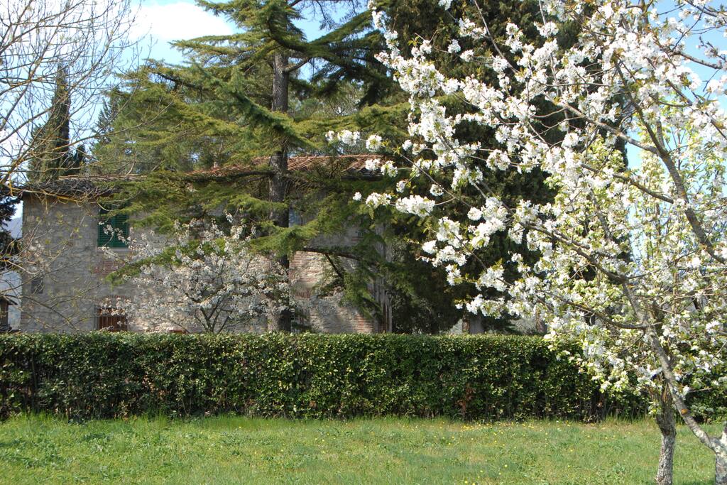 Esterno in Primavera