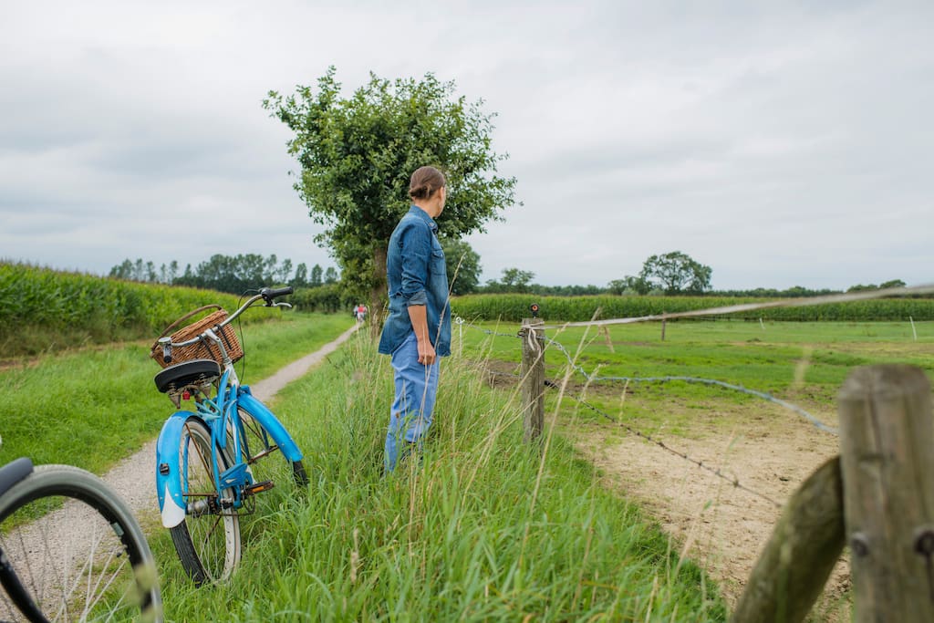 Located on National Cycle Route 1 also with many local and national footpaths close by.