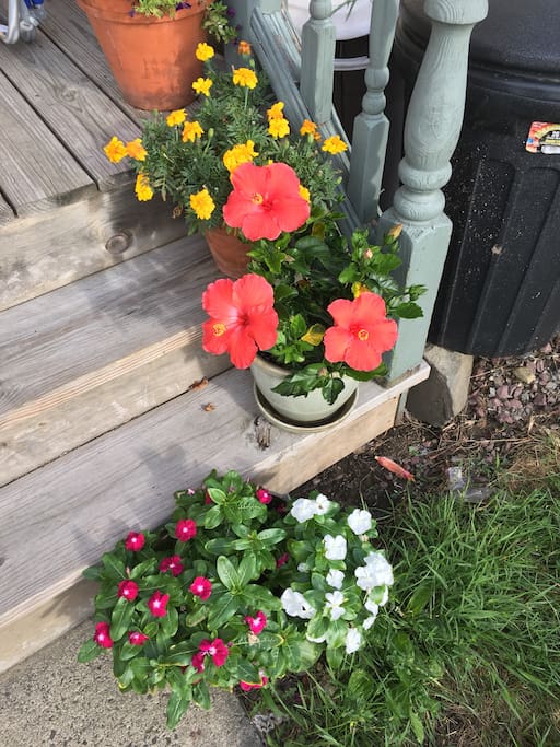 Flowers on front porch