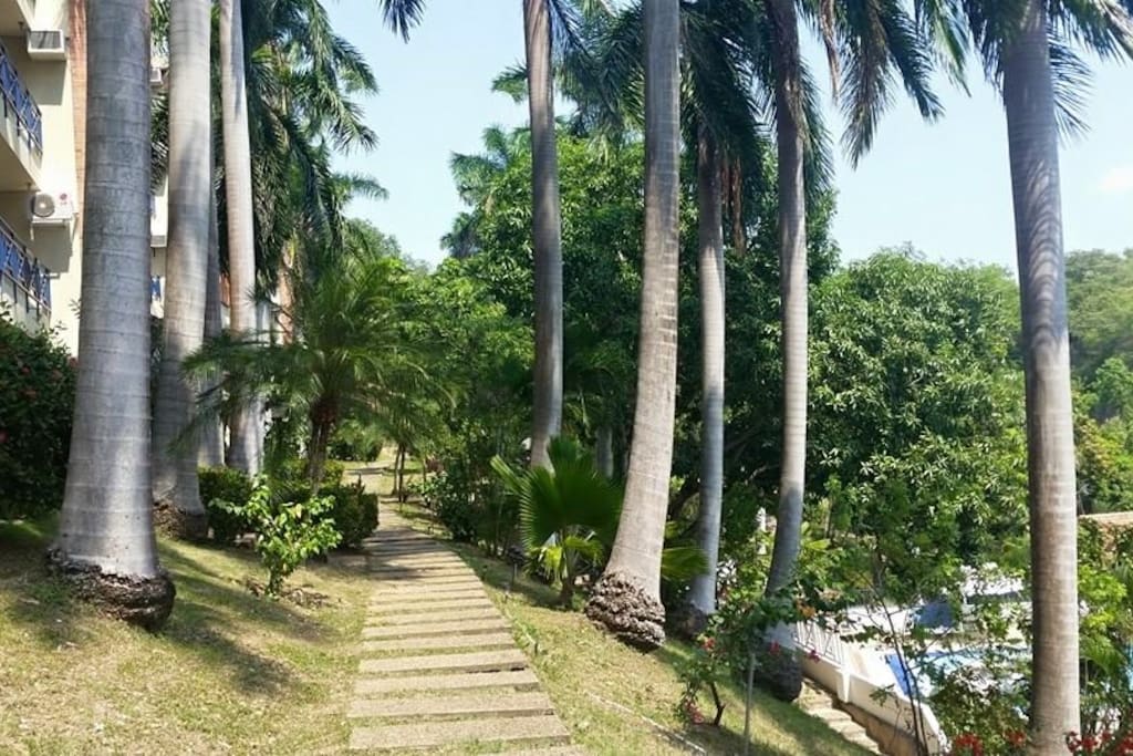 Zonas verdes del condominio