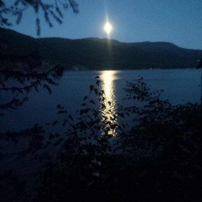 Breathtaking moon rises and starry skies