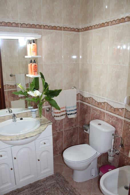 Casa de banho com banheira