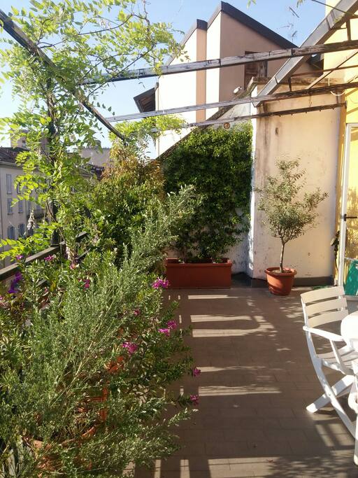 Terrace