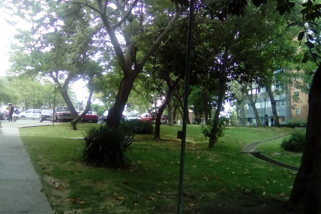 Estacionamiento 1.
