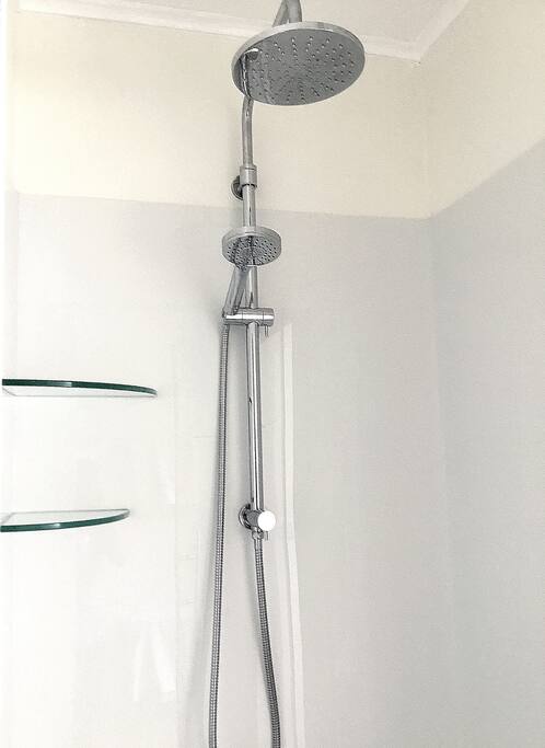 Double shower head with rain shower