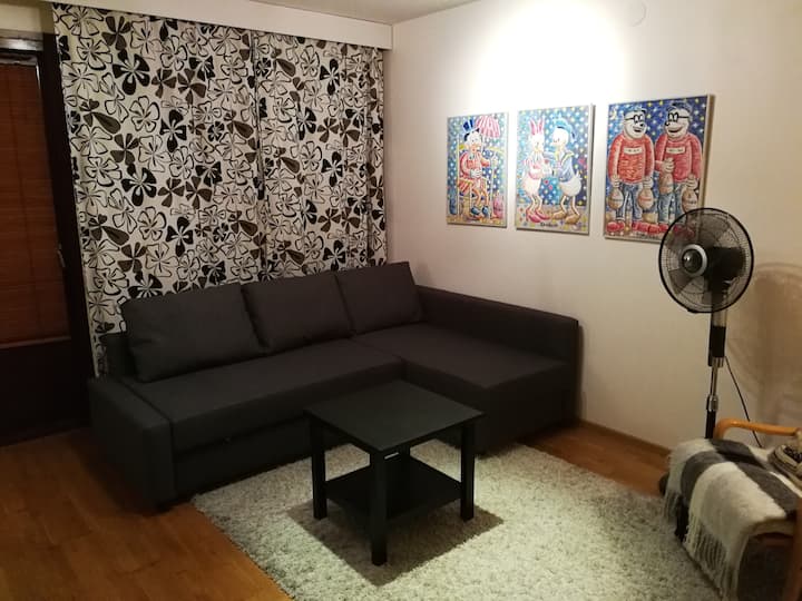 Spacieux salon, le canapé se transforme en lit d'invité