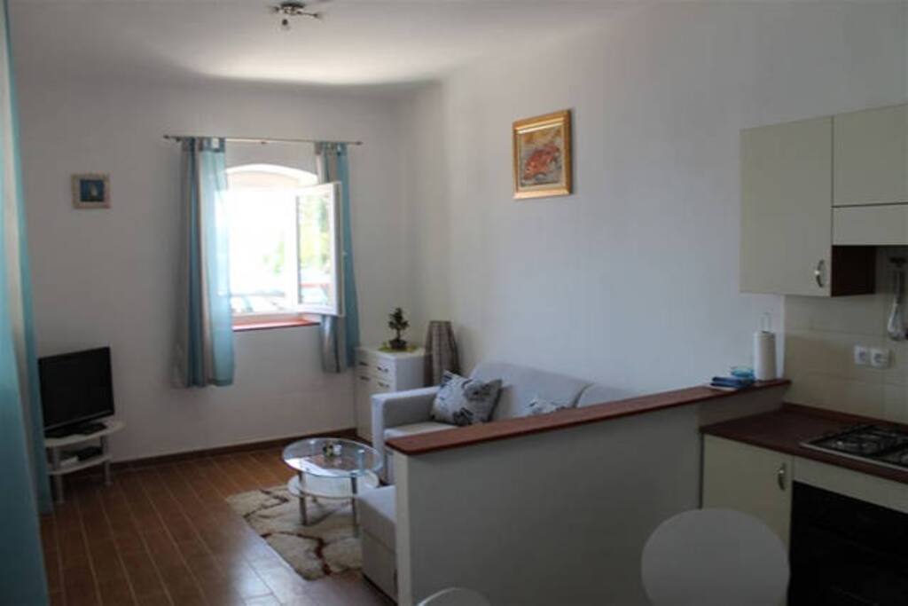 Living room and kitchen