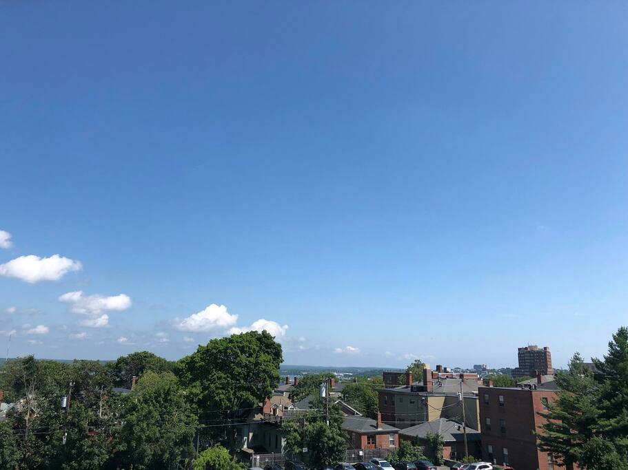 view from patio
