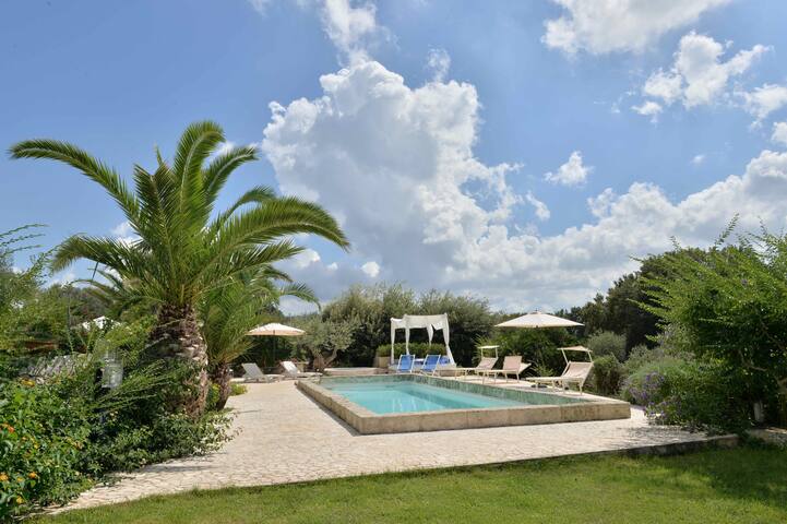 EXECUTIVE APULIA ESTATE gallery image 3