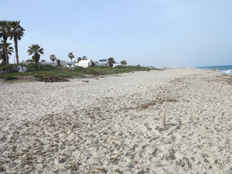 plage à perte de vu belles balades