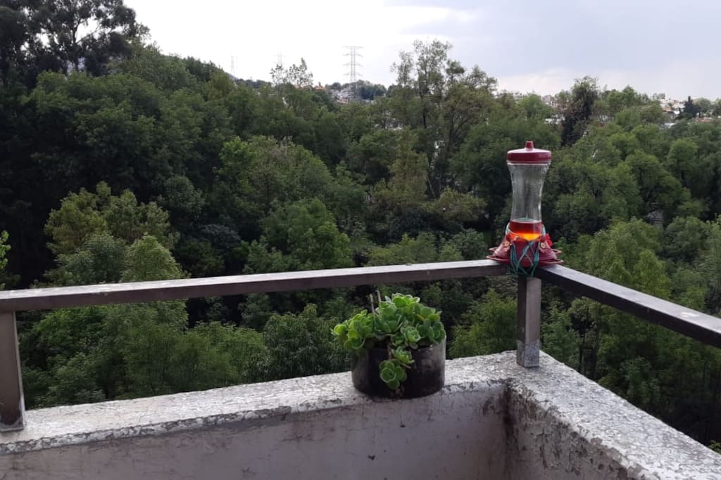Your view from the balcony.