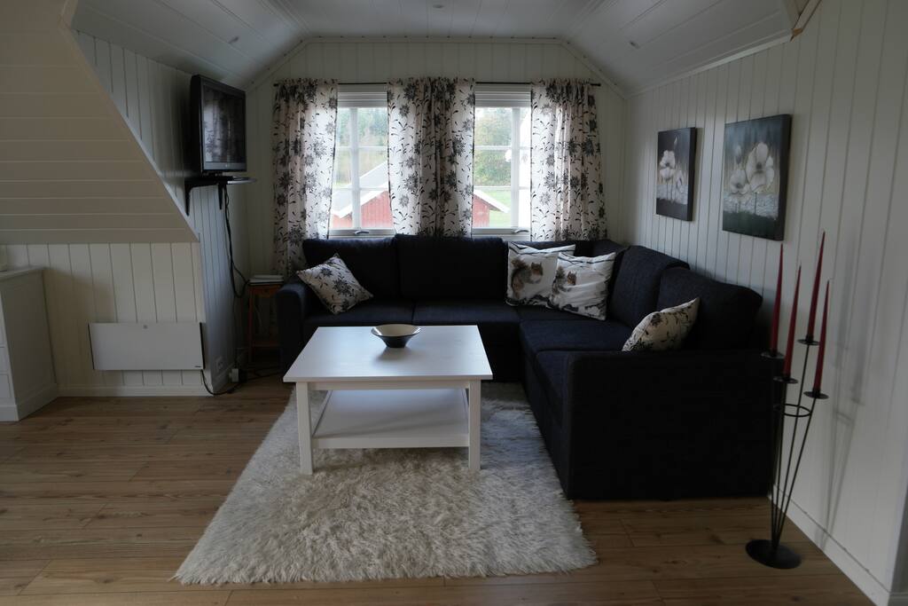 Stue m/sovesofa.