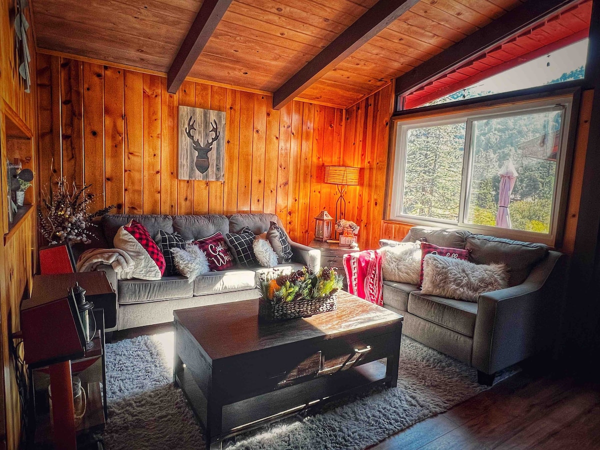 A cozy living area is decorated with wooden paneling and beamed ceilings. Two comfortable sofas, adorned with various cushions, are arranged around a dark coffee table. Natural light flows through a large window, illuminating a fruit centerpiece and creating a warm ambiance.