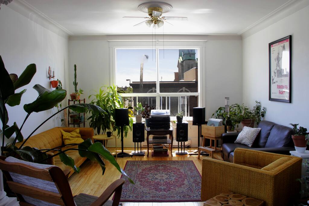 Salon/Living room