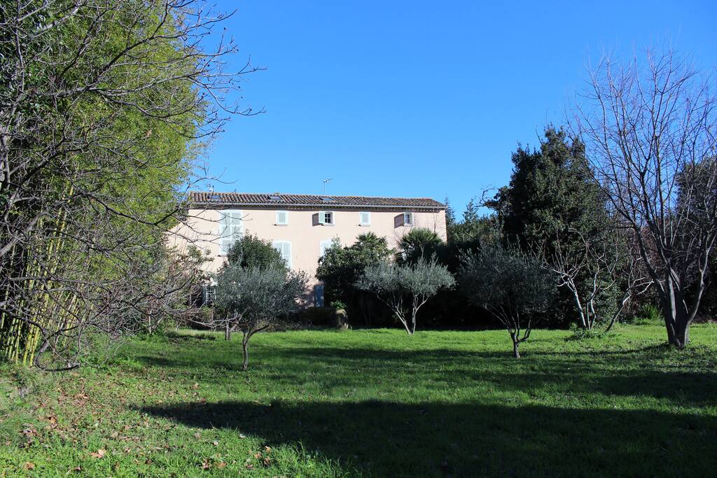 le fond du jardin