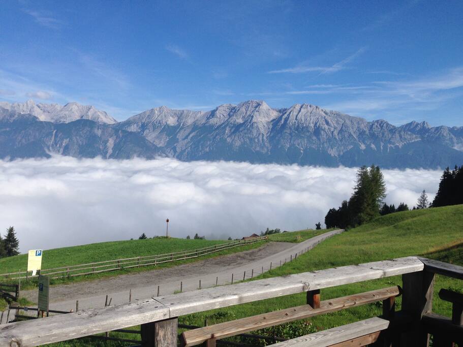Frühling