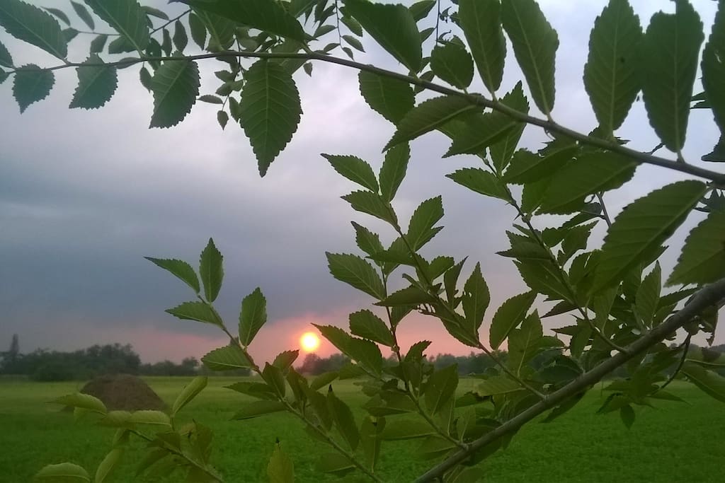 Sunset