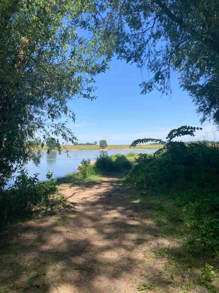 A tranquil pathway lined with lush greenery leads toward a calm body of water. Sunlight filters through the trees, creating dappled light on the soil. The horizon features open fields and a clear blue sky, inviting relaxation and exploration.