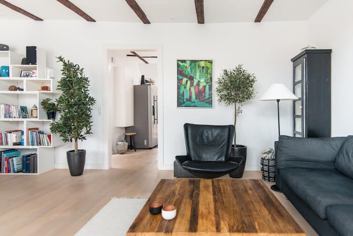 Penthouse Apartment Copenhagen City - Copenhagen