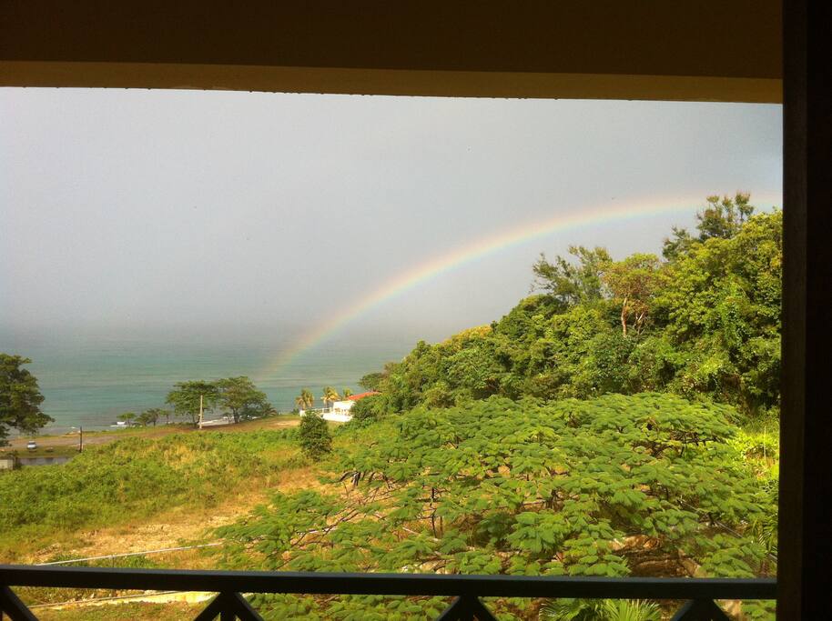 view from kitchen window
