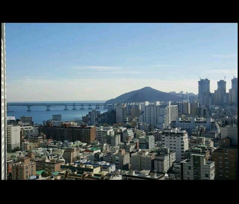 방에서 보이는 뷰
My room view