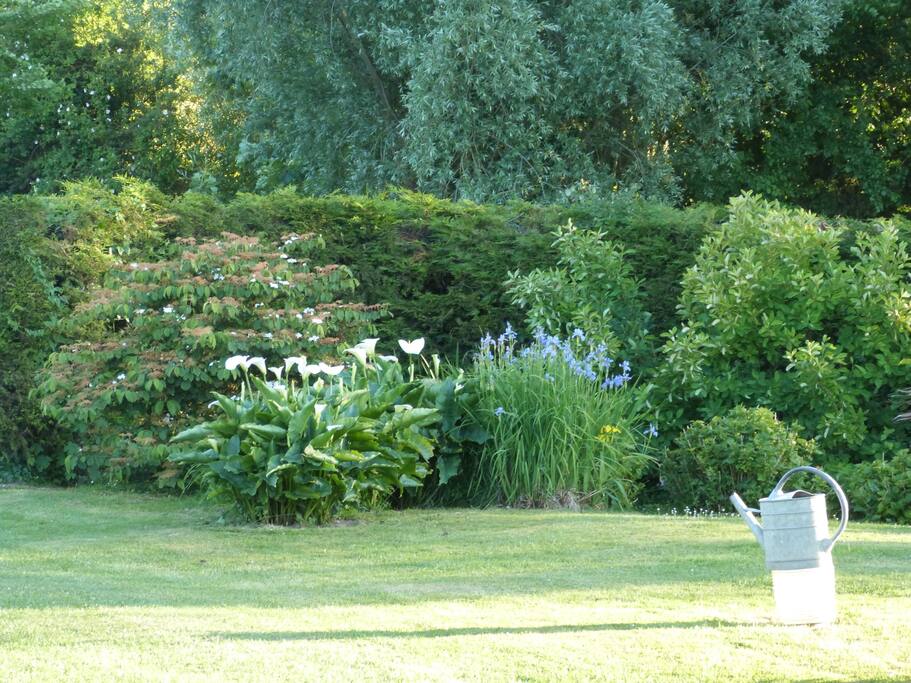 Quelque fleurs du jardin