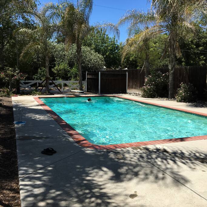 Backyard pool