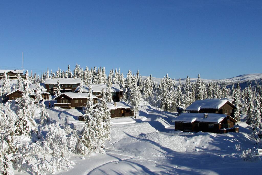 Fullt utstyrt hytte ved Valdres Alpinsenter og Aurdal Fjellpark. Direkte tilgang til stort løypenett for langrenn.