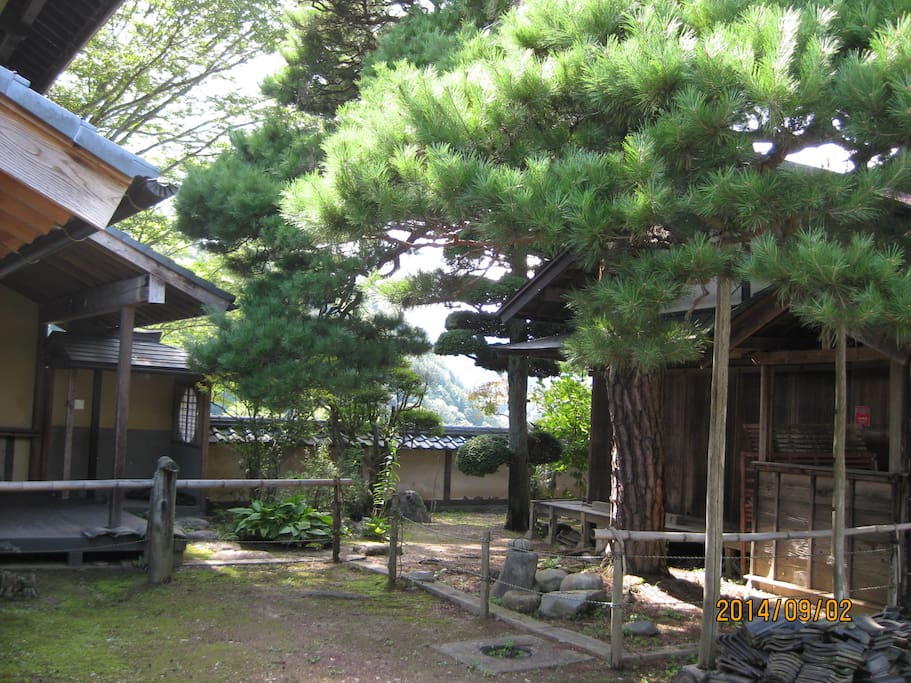Japanese garden
