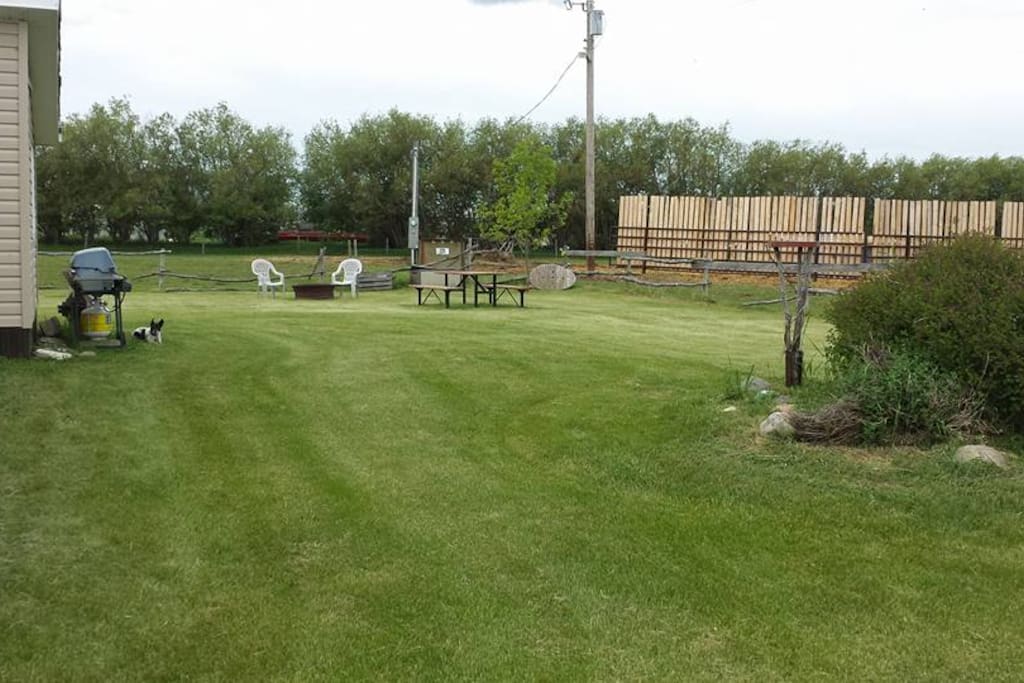 Large Yard
