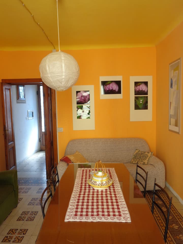 Nel Cuore Della Garfagnana - Castelnuovo di Garfagnana