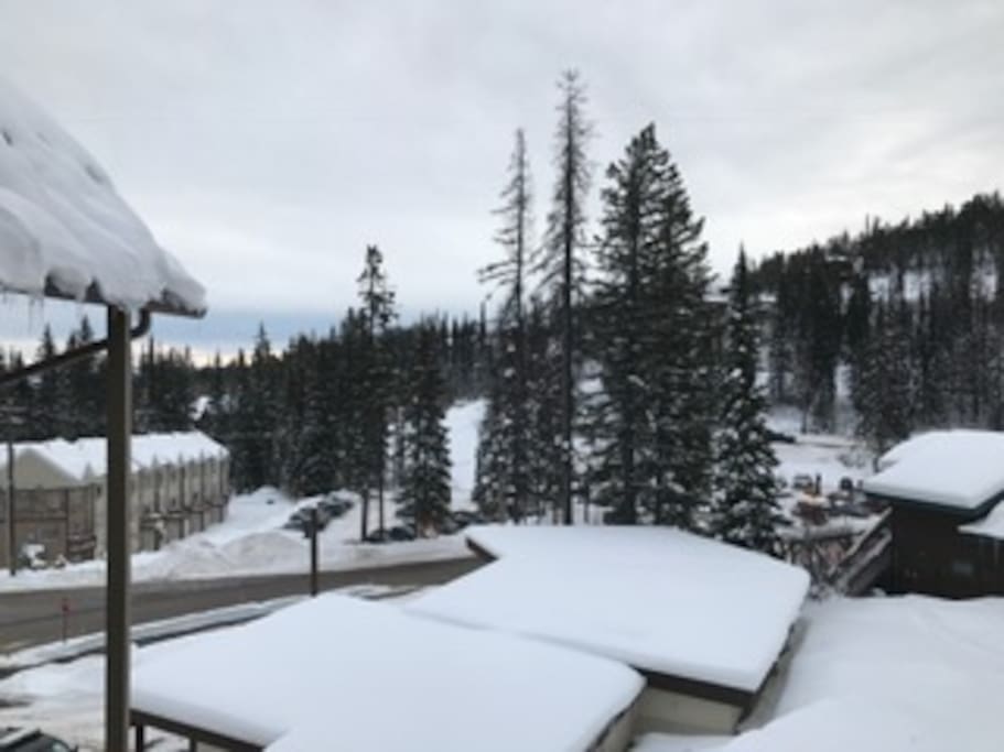 Great view from your room.
