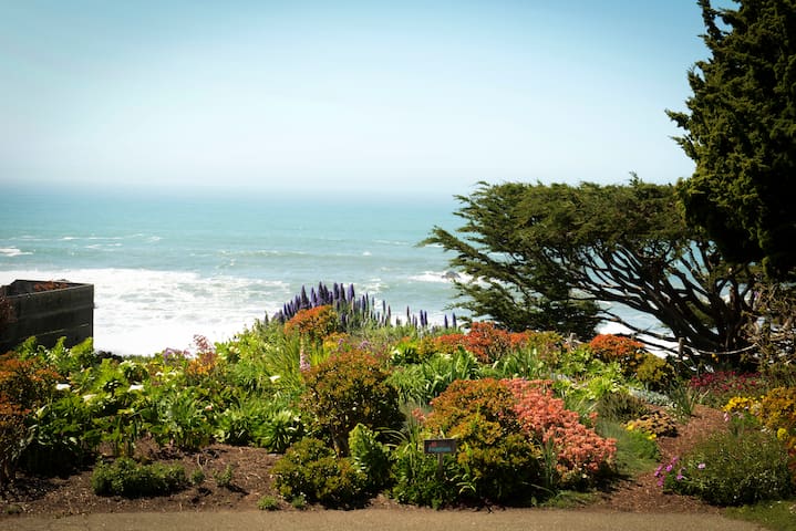 bodega bay christian dating site Sign up for free to dating site cupidcom browse local singles, start chatting now we have a large database of singles waiting for you. bodega bay christian dating site Sign up for free to dating site cupidcom browse local singles, start chatting now we have a large database of singles waiting for you.